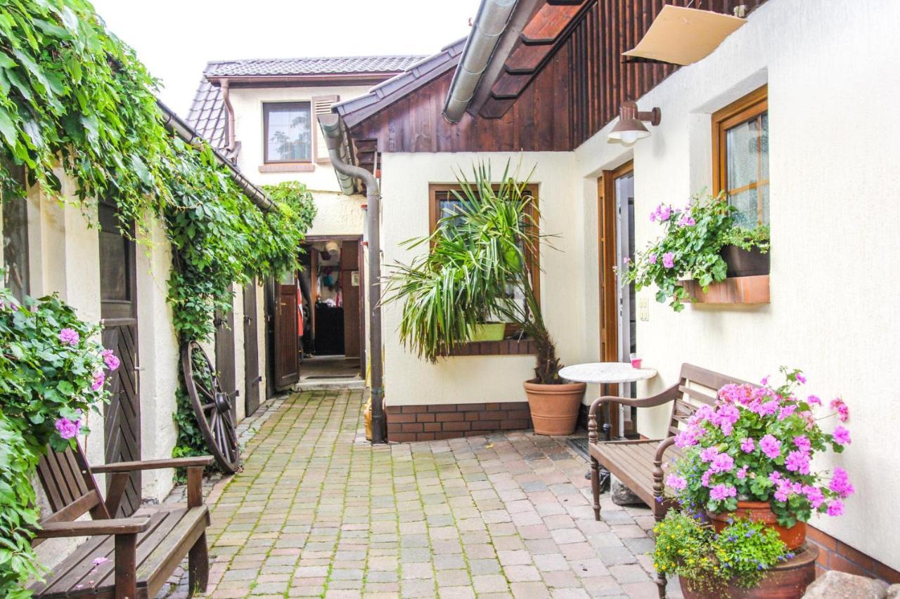 Likedeeler 5 Lejlighed Zingst Eksteriør billede